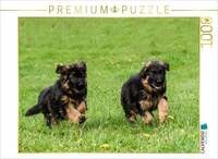 CALVENDO Puzzle Lauf um die Wette 1000 Teile Lege-Gr&ouml;&szlig;e 64x48cm Foto-Puzzle...