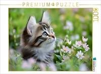 CALVENDO Puzzle Vertr&auml;umte Katze in der Wiese 1000 Teile Lege-Gr&ouml;&szlig;e 64x48cm