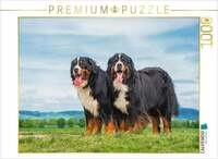 CALVENDO Puzzle Zusammen durch dick und d&uuml;nn - zwei Berner Sennenhunde 1000...