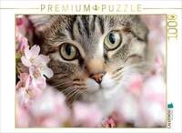 CALVENDO Puzzle Wundersch&ouml;ne Tigerkatze im Fr&uuml;hling 1000 Teile Lege-Gr&ouml;&szlig;e...