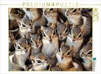 CALVENDO Puzzle Streifenh&ouml;rnchen Kuschelhaufen 1000 Teile Lege-Gr&ouml;&szlig;e 64x48cm