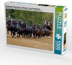 CALVENDO Puzzle Moritzburger Hengstparade: 16 Hengste vor der Postkutsche! 1000 Teile