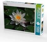 CALVENDO Puzzle Malerisch 1000 Teile Lege-Gr&ouml;&szlig;e 64x48cm Foto-Puzzle f&uuml;r