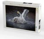 CALVENDO Puzzle Tanz 02 1000 Teile Lege-Gr&ouml;&szlig;e 64x48cm Foto-Puzzle f&uuml;r...