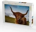 CALVENDO Puzzle Highland im Weserbergland 1000 Teile Lege-Gr&ouml;&szlig;e 64x48cm...