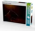 CALVENDO Puzzle Bullterrier 1000 Teile Lege-Gr&ouml;&szlig;e 64 &times; 48 cm Foto-Puzzle f&uuml;r