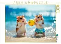 CALVENDO Puzzle Beachball Buddies 1000 Teile Lege-Gr&ouml;&szlig;e 64x48cm Foto-Puzzle...