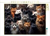 CALVENDO Puzzle Viele Katzen auf einem Bild 1000 Teile Lege-Gr&ouml;&szlig;e 64x48cm