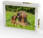 CALVENDO Puzzle Briard- H&uuml;ndin mit einem ihrer Welpen 1000 Teile Lege-Gr&ouml;&szlig;e