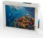 CALVENDO Puzzle Das gro&szlig;e Riff 1000 Teile Lege-Gr&ouml;&szlig;e 64x48cm Foto-Puzzle f&uuml;r