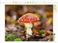 CALVENDO Puzzle Fliegenpilz 1000 Teile Lege-Gr&ouml;&szlig;e 64x48cm Foto-Puzzle f&uuml;r