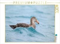 CALVENDO Puzzle Sturmvogel bei Salisbury Plain 1000 Teile Lege-Gr&ouml;&szlig;e 64x48cm