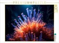 CALVENDO Puzzle Riffgefl&uuml;ster 1000 Teile Lege-Gr&ouml;&szlig;e 64x48cm Foto-Puzzle f&uuml;r