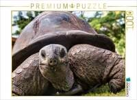CALVENDO Puzzle Eine der &uuml;ber 300 Seychellen-Riesenschildkr&ouml;ten auf Curieuse...