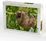 CALVENDO Puzzle Dreifinger-Faultier 1000 Teile Lege-Gr&ouml;&szlig;e 64x48cm Foto-Puzzle...