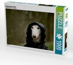 CALVENDO Puzzle Regenjackenwetter 1000 Teile Lege-Gr&ouml;&szlig;e 64 &times; 48 cm Foto-Puzzle