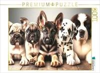 CALVENDO Puzzle F&uuml;nf freche Fellnasen in bezaubernder Eintracht - Ein Motiv...