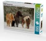 CALVENDO Puzzle Ein Motiv aus dem Kalender Isl&auml;nder - icelandic horses 1000 Teile