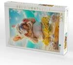 CALVENDO Puzzle Endlich Ferien 1000 Teile Lege-Gr&ouml;&szlig;e 64x48cm Foto-Puzzle f&uuml;r