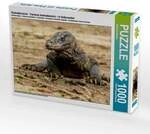 CALVENDO Puzzle Komodowaran - Varanus komodoensis - in Indonesien 1000 Teile