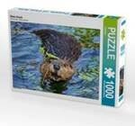 CALVENDO Puzzle Biber Snack 1000 Teile Lege-Gr&ouml;&szlig;e 64 x 48 cm Foto-Puzzle Bild von