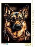 CALVENDO Puzzle Hund Rocky 1000 Teile Lege-Gr&ouml;&szlig;e 64x48cm Foto-Puzzle f&uuml;r