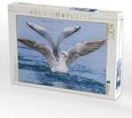 CALVENDO Puzzle Perfekte Landung - Eleganz auf dem Wasser! 1000 Teile...