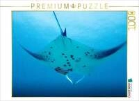 CALVENDO Puzzle Mantarochen im Anflug 1000 Teile Lege-Gr&ouml;&szlig;e 64x48cm...