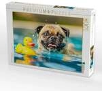 CALVENDO Puzzle Mops planscht im Pool mit Ente 1000 Teile Lege-Gr&ouml;&szlig;e 64x48cm