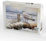 CALVENDO Puzzle Mit der F&auml;hre zur InselEine M&ouml;we wartet auf den Fr&uuml;hling 1000