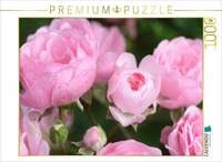 CALVENDO Puzzle Rose 'The Fairy' 1000 Teile Lege-Gr&ouml;&szlig;e 64x48cm Foto-Puzzle...