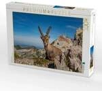 CALVENDO Puzzle Alpsteinpanorama 1000 Teile Lege-Gr&ouml;&szlig;e 64x48cm Foto-Puzzle...
