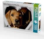 CALVENDO Puzzle Rhodesian Ridgeback - eine Liebe f&uuml;rs Leben - 1000 Teile