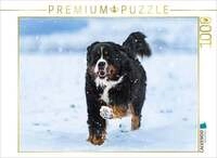 CALVENDO Puzzle Berner Sennenhund im Schnee 1000 Teile Lege-Gr&ouml;&szlig;e 64x48cm