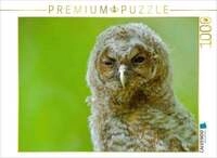 CALVENDO Puzzle Waldkauz-&Auml;stling 1000 Teile Lege-Gr&ouml;&szlig;e 64x48cm Foto-Puzzle...