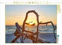 CALVENDO Puzzle Baumliebe am Weststrand Fischland-Darss-Zingst 1000 Teile