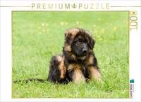 CALVENDO Puzzle Sch&auml;ferhund - Welpe R&uuml;de 1000 Teile Lege-Gr&ouml;&szlig;e 64x48cm