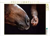 CALVENDO Puzzle Pferdemaul k&uuml;sst Vogelbaby 1000 Teile Lege-Gr&ouml;&szlig;e 64x48cm