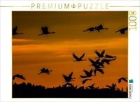 CALVENDO Puzzle Kraniche an der Ostsee 1000 Teile Lege-Gr&ouml;&szlig;e 64 &times; 48 cm