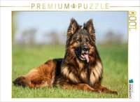 CALVENDO Puzzle Wundersch&ouml;ner Sch&auml;ferhund R&uuml;de 1000 Teile Lege-Gr&ouml;&szlig;e...