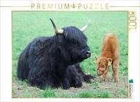 CALVENDO Puzzle Schottische Hochlandrinder 1000 Teile Lege-Gr&ouml;&szlig;e 64 &times; 48 cm