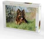 CALVENDO Puzzle Ein toller Begleiter 1000 Teile Lege-Gr&ouml;&szlig;e 64x48cm...