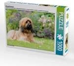 CALVENDO Puzzle Briard-Portrait 1000 Teile Lege-Gr&ouml;&szlig;e 64x48cm Foto-Puzzle f&uuml;r