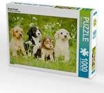 CALVENDO Puzzle Bunte Hunde 1000 Teile Lege-Gr&ouml;&szlig;e 64 &times; 48 cm Foto-Puzzle f&uuml;r