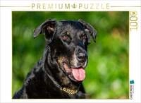 CALVENDO Puzzle Ein Motiv aus dem Kalender Der Beauceron 1000 Teile Lege-Gr&ouml;&szlig;e