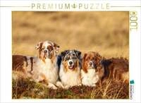 CALVENDO Puzzle Ein Motiv aus dem Kalender Mit Aussies unterwegs - Die bunte...