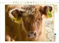 CALVENDO Puzzle K&auml;lber - Kleine Herzensbrecher auf den Wiesen 1000 Teile