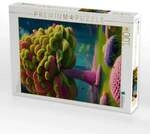 CALVENDO Puzzle Sommertraum 1000 Teile Lege-Gr&ouml;&szlig;e 64x48cm Foto-Puzzle f&uuml;r