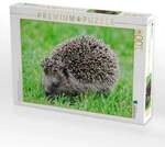 CALVENDO Puzzle Niedlich kleiner Igel l&auml;uft durch das Gras 1000 Teile...