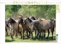 CALVENDO Puzzle Stutenherde im Merfelder Bruch 1000 Teile Lege-Gr&ouml;&szlig;e 64x48cm
